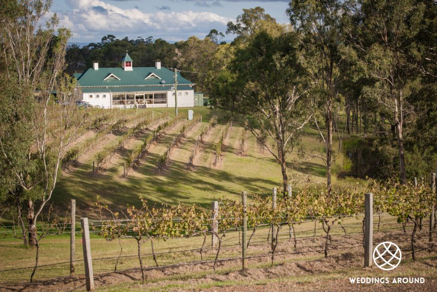 Wandin 06